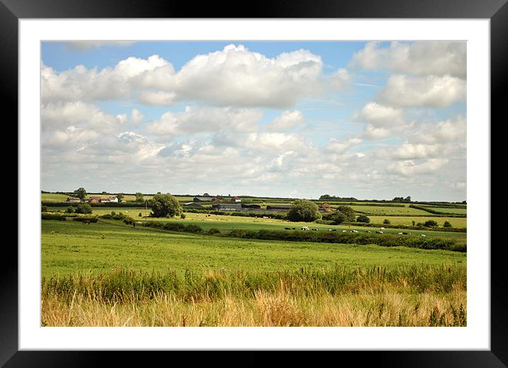 A Leicestershire Farm Framed Mounted Print by graham young