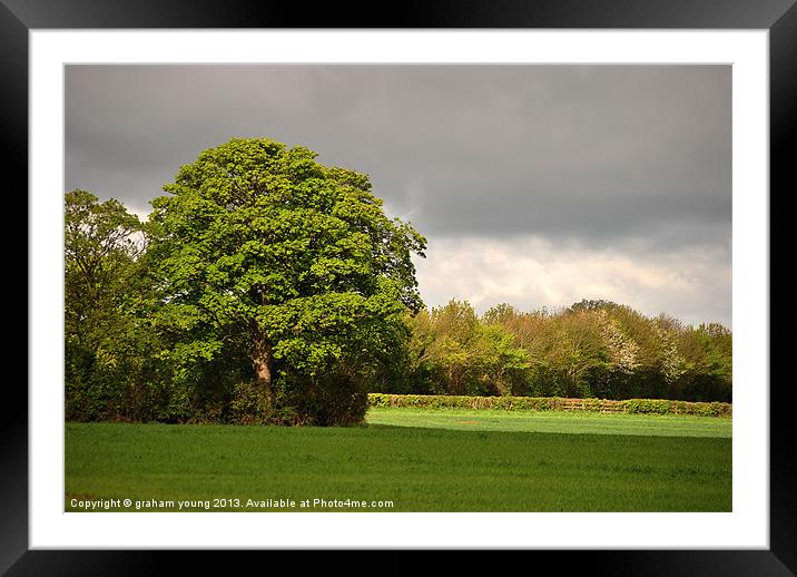 Stormy Summer Sky Framed Mounted Print by graham young