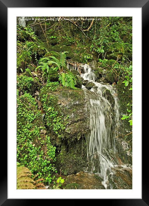 An Exmoor Waterfall Framed Mounted Print by graham young