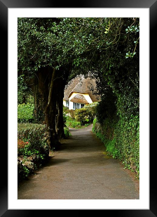 A Lane in Selworthy Framed Mounted Print by graham young