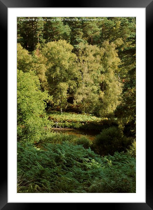 Rushmere Country Park Framed Mounted Print by graham young