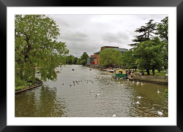The Avon at Stratford Framed Mounted Print by graham young