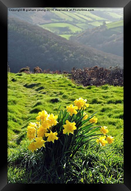 Springtime at County Gate  Framed Print by graham young