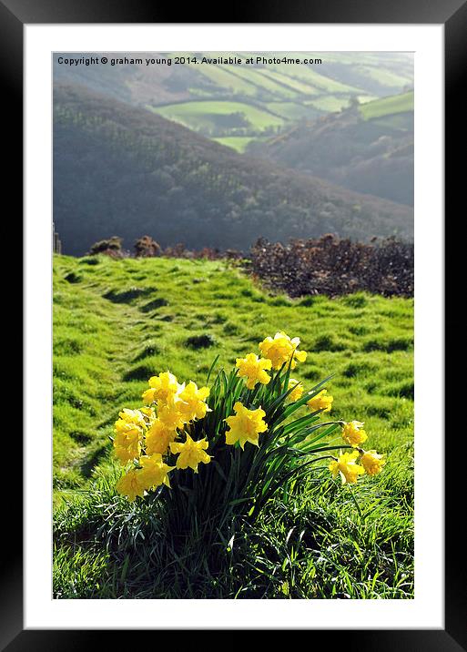 Springtime at County Gate  Framed Mounted Print by graham young