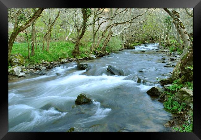 The River Heddon  Framed Print by graham young