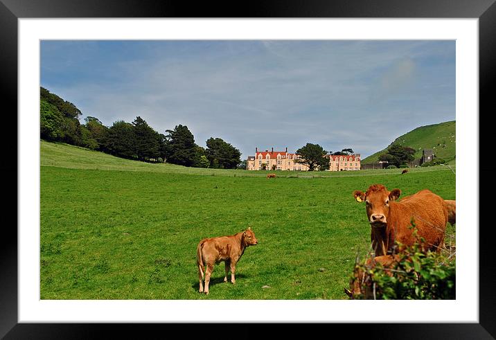 Lee Abbey  Framed Mounted Print by graham young