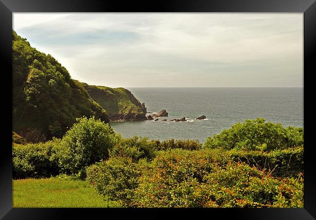 The Exmoor Coast  Framed Print by graham young