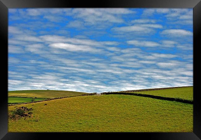 A Farm Gate on Exmoor  Framed Print by graham young