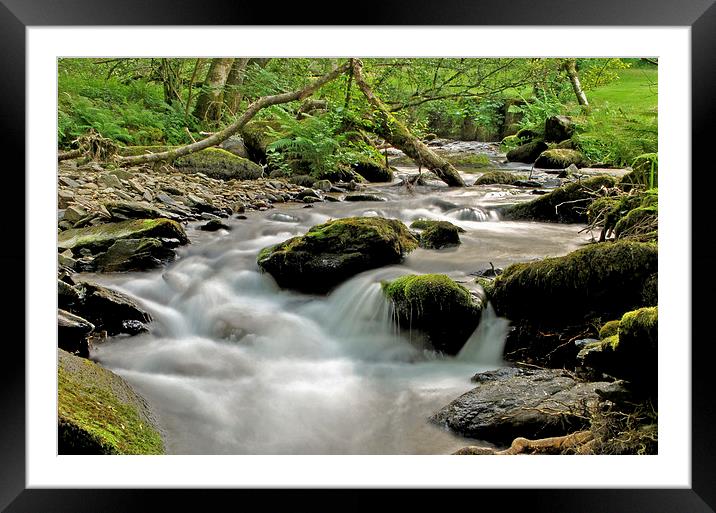 Hoar Oak Water  Framed Mounted Print by graham young