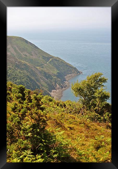 The South West Coast Path Towards Foreland Point  Framed Print by graham young