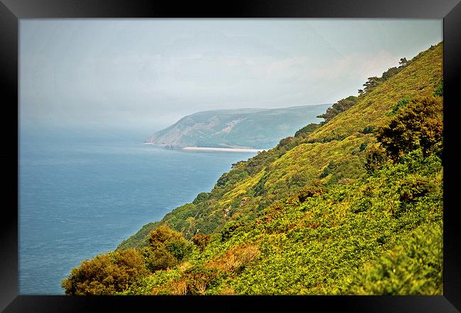  Hurlestone Point from Desolation Point Framed Print by graham young