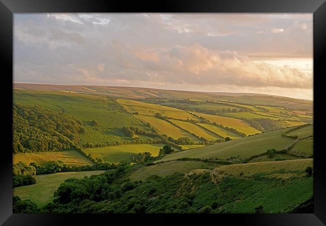 Exmoor  Framed Print by graham young