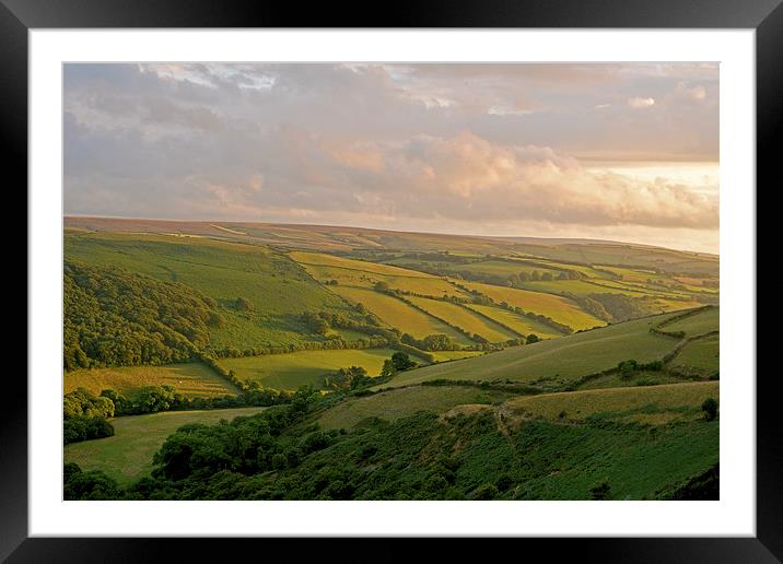 Exmoor  Framed Mounted Print by graham young
