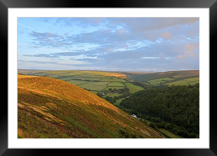 An Exmoor Evening  Framed Mounted Print by graham young