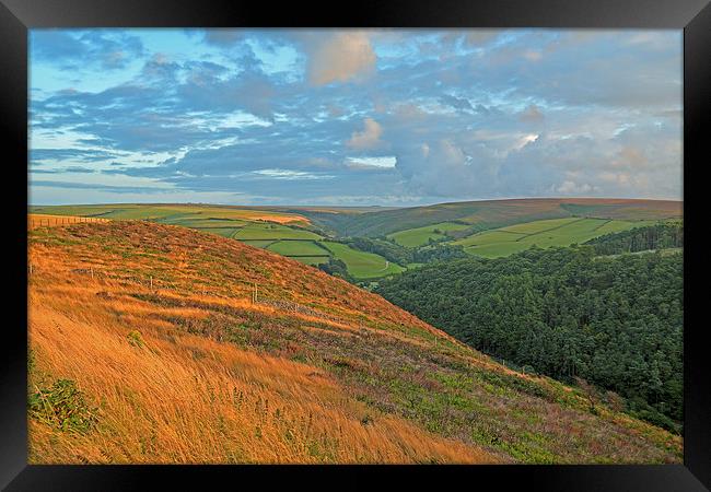 An Exmoor Hillside  Framed Print by graham young