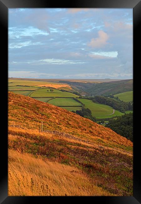 The Colours of Exmoor  Framed Print by graham young