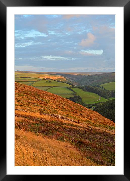The Colours of Exmoor  Framed Mounted Print by graham young