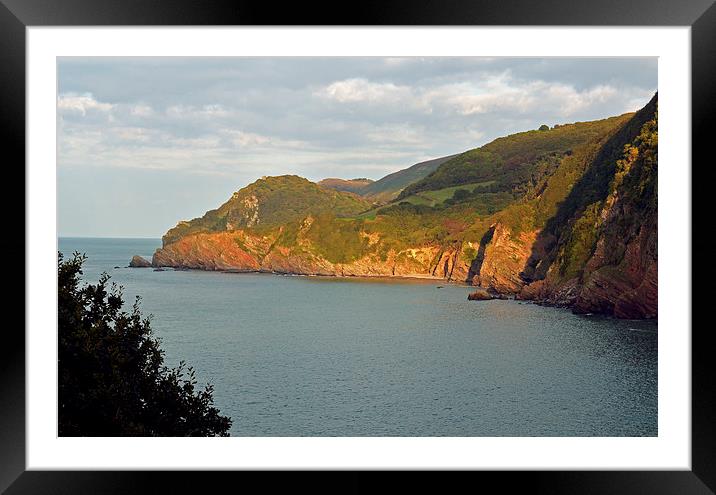 Woody Bay  Framed Mounted Print by graham young