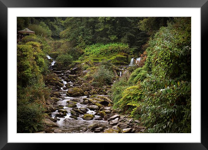 Glen Lyn Gorge  Framed Mounted Print by graham young