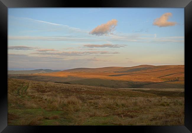 An exmoor evening  Framed Print by graham young