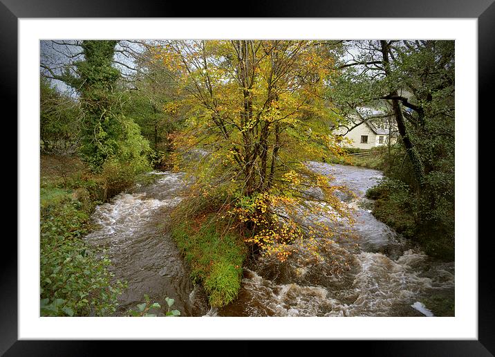  The East Lyn at Brendon in Autumn Framed Mounted Print by graham young