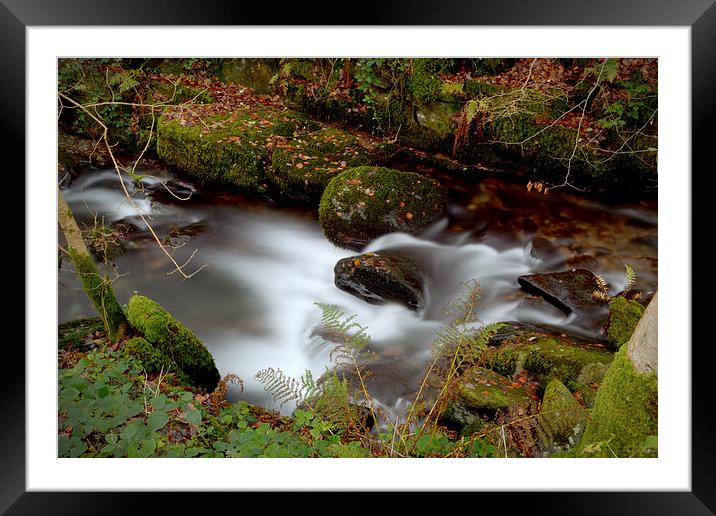  Hoar Oak Water in Autumn Framed Mounted Print by graham young