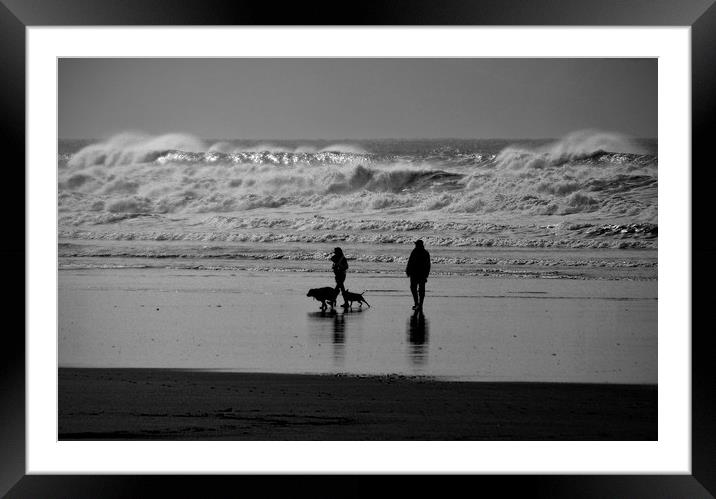 Walking The Dogs at Saunton Sands Framed Mounted Print by graham young