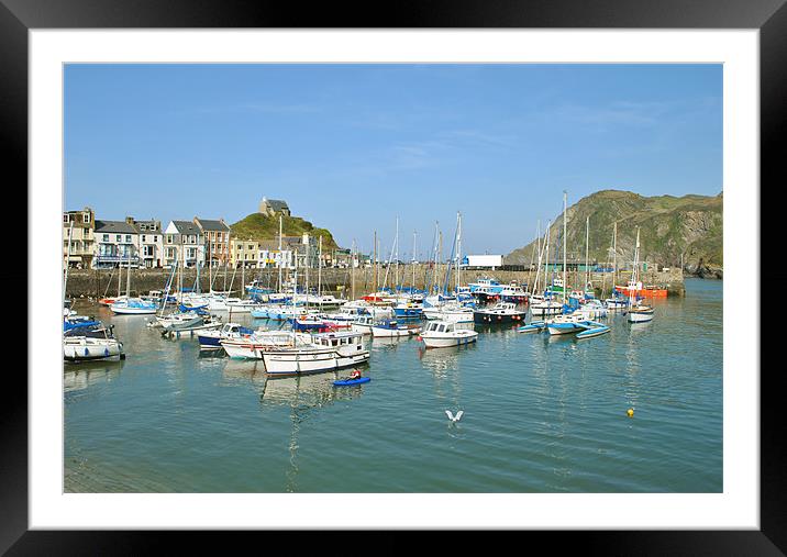 Ilfracombe Harbour, North Devon Framed Mounted Print by graham young