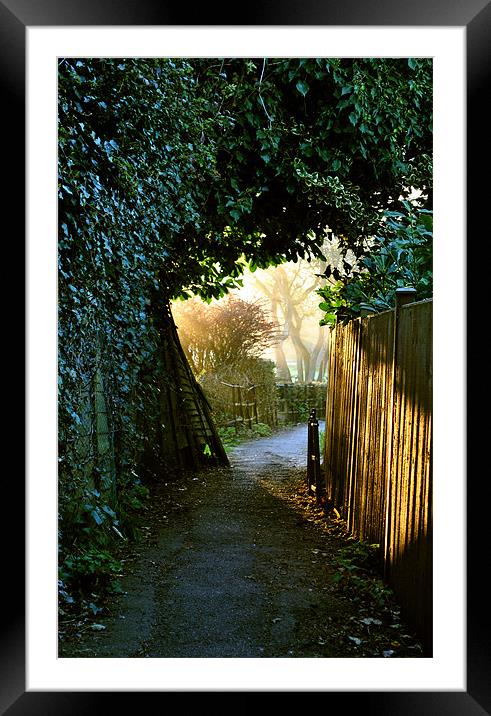 into the light Framed Mounted Print by graham young