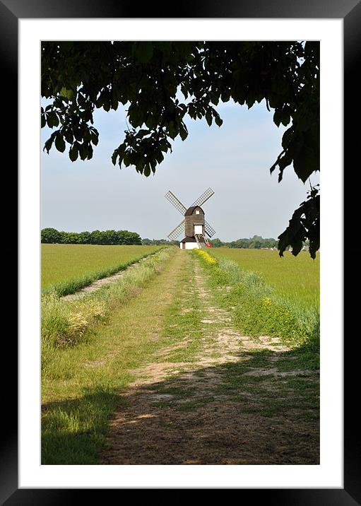 Pitstone Windmill, Buckinghamshire Framed Mounted Print by graham young