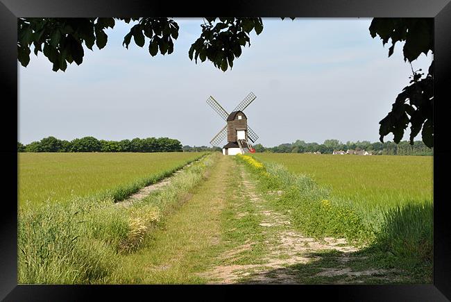 Pitstone Windmill, Buckinghamshire Framed Print by graham young