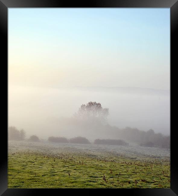 Out of the Mist Framed Print by graham young
