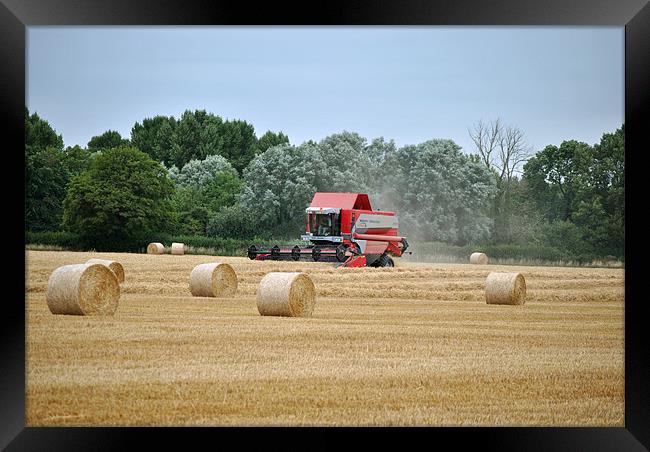 harvesting the wheat crop Framed Print by graham young