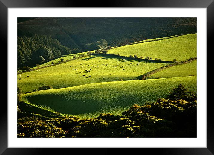 Exmoor Framed Mounted Print by graham young