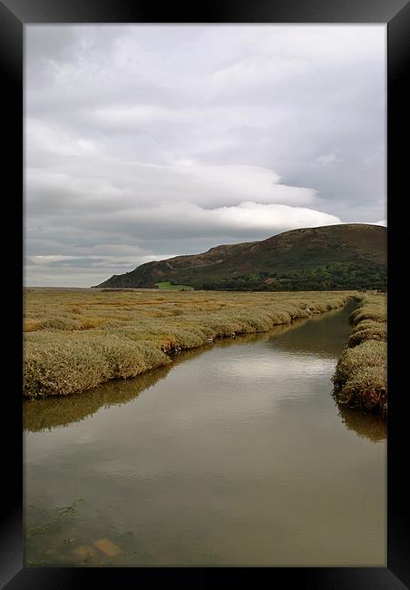 Sparkhayes Marsh Framed Print by graham young