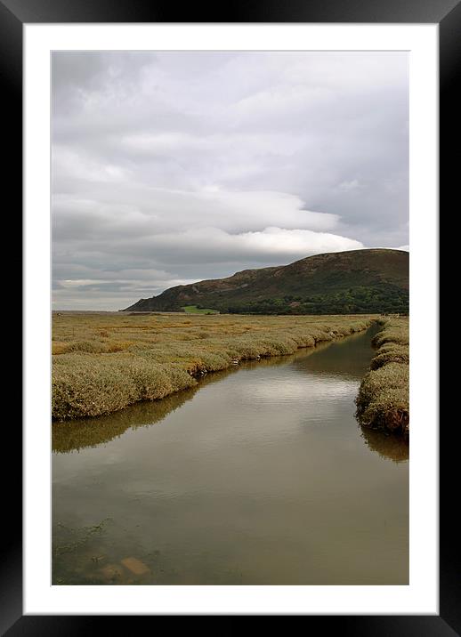 Sparkhayes Marsh Framed Mounted Print by graham young