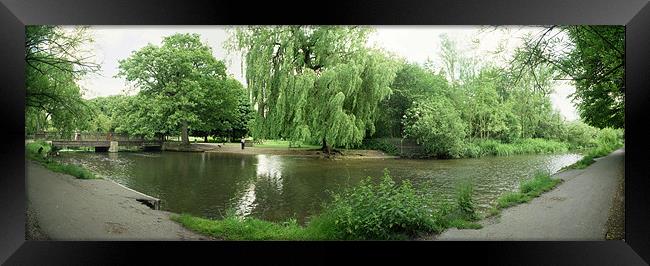The River Gade at Cassiobury Park in Watford Framed Print by graham young