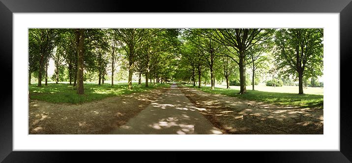 The Avenue, Cassiobury Park, Watford Framed Mounted Print by graham young