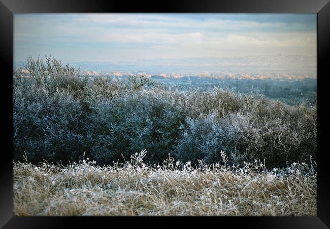 Hoar Frost in the Chiltern Hills Framed Print by graham young