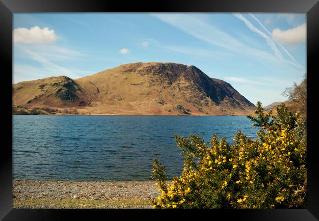Crummock Water in Springtime Framed Print by graham young