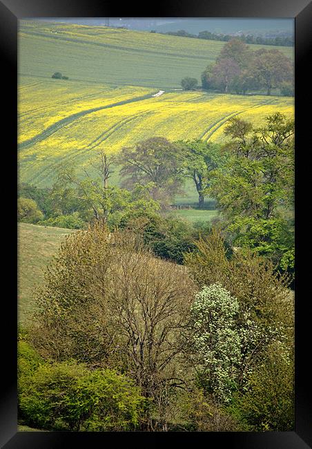 Spring in the Chilterns Framed Print by graham young