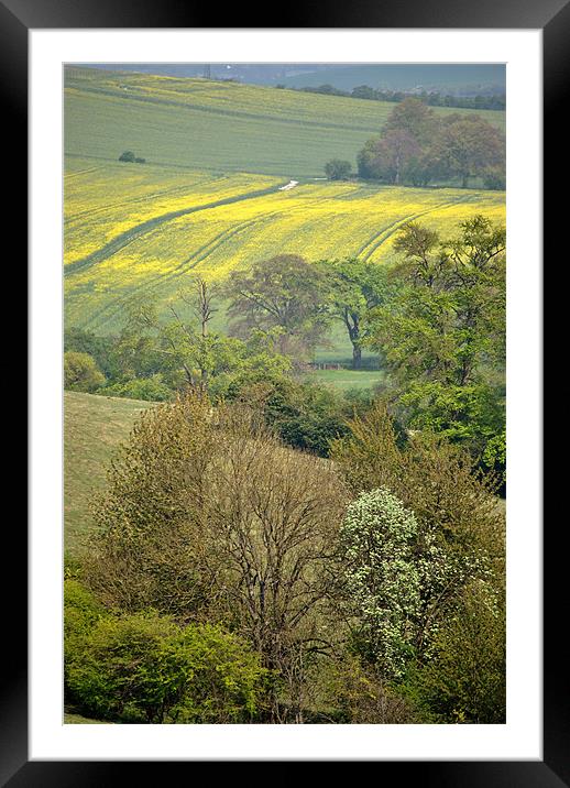 Spring in the Chilterns Framed Mounted Print by graham young