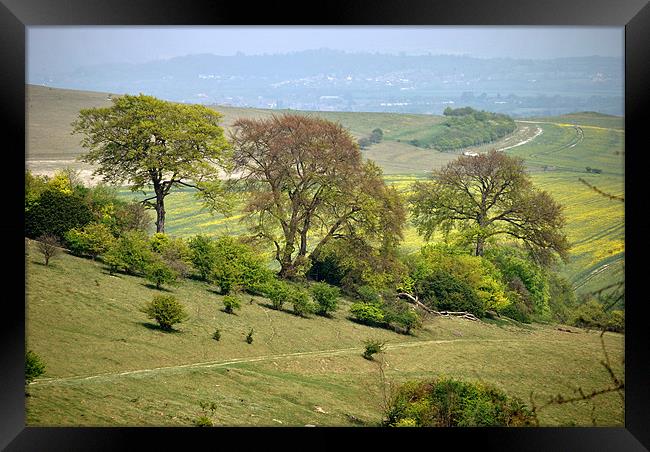 Springtime at Ivinghoe Beacon Framed Print by graham young