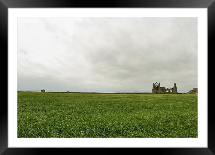 Whitby Abbey Framed Mounted Print by graham young