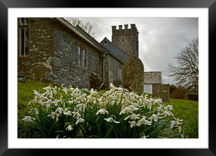 Snowdrops at Oare Church Framed Mounted Print by graham young