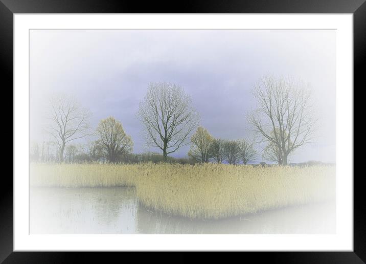 Winter Trees and Reeds 2 (please see my portfolio  Framed Mounted Print by graham young