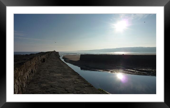 St Andrews Harbour on a cold February morning. Framed Mounted Print by Andrew Cummings