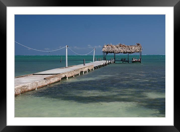 Belize Pier Framed Mounted Print by Tania Bloomfield