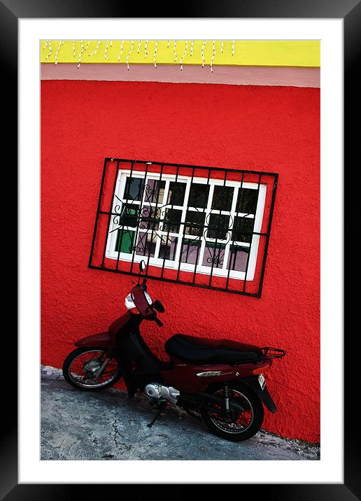 SCooter and Red Wall Framed Mounted Print by Tania Bloomfield