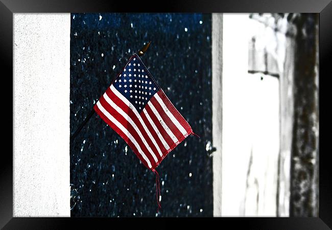 Small flag in a Cemetary Framed Print by Tania Bloomfield